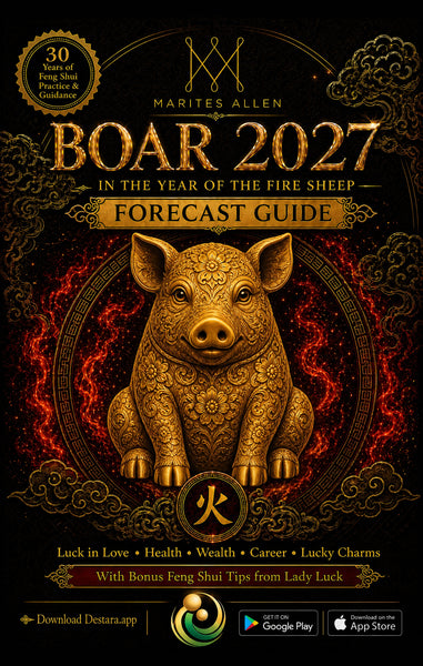 BOAR Horoscope Guide 2027