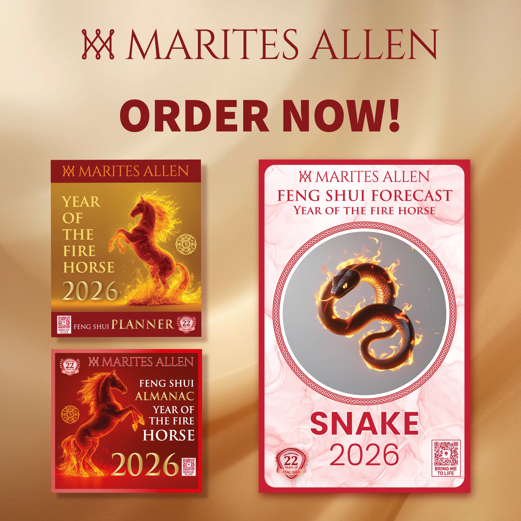 SNAKE 2026 Feng Shui Bundle