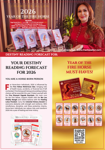 Personalised Destiny Reading 2026