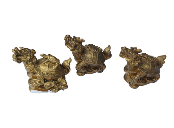 Brass Pair Dragon Tortoise with Baby Coins On The Back